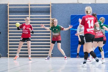 Bild 208 - Frauen HSG Kremperheide/Muensterdorf - HSG Joerl-Vioel : Ergebnis: 34:27